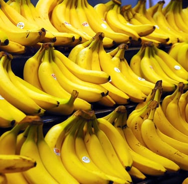 Banana Ripening Room