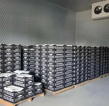 Cold Room Manufacturing Facility in China – HengliangCooling