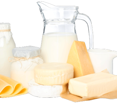 cold storage for dairy products