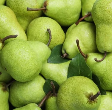 Pears Ripening Room