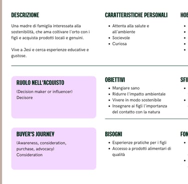 Buyer Persona