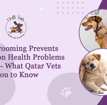 How Grooming Prevents Common Health Problems in Pets - What Qatar Vets Want You to Know