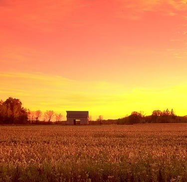 a field with a barn in the background at sunset
