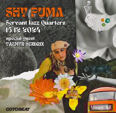 SHY PUMA servant jazz quarters