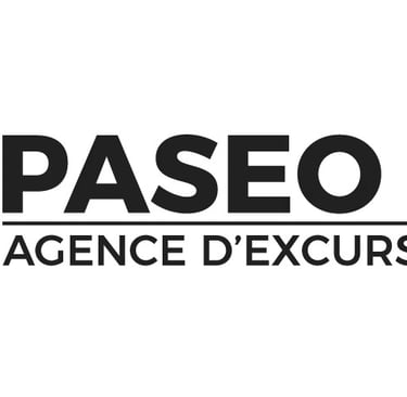 Logo paseo tours