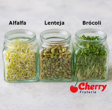 Frascos con alfalfa, lenteja y brócoli.