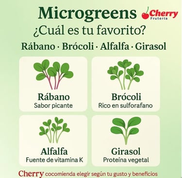 Diferentes microgreens en bandejas