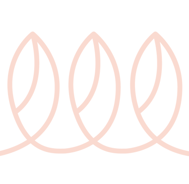 accompagnement et prévention pour personnes fragilisées