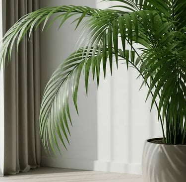 Palma Kentia en luciendo esplendorosa en salón