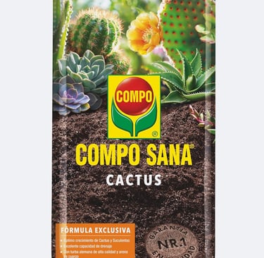 sustrato cactus suculentas
