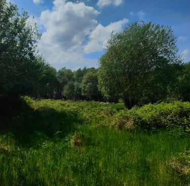 Luxury Glamping Pod Site based in County Fermanagh Northern Ireland