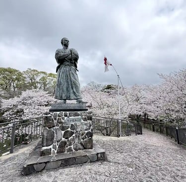 Sakamoto Ryoma statue with cherry blossoms in full bloom