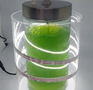 A cylindrical glass photobioreactor cultivating green microalgae with LED strip lighting for research.