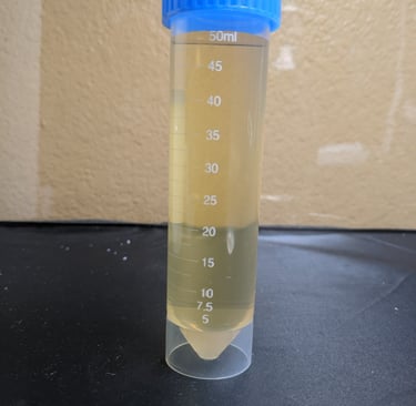 bottle of f/2 media we sell to help customers grow algae