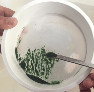 spirulina harvesting screen