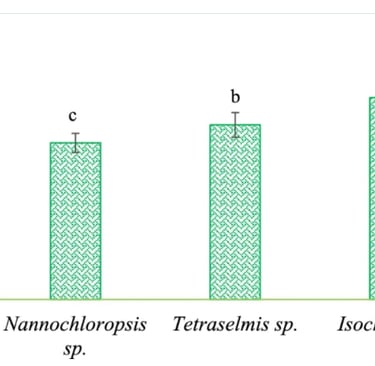 image of a graph showing isochrysis as the best microalgae to feed