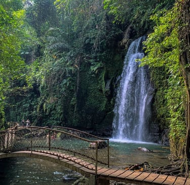 Ubud Waterfall