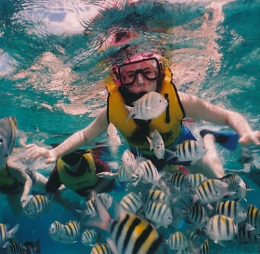 Snorkeling with colourful fish at St.Ann