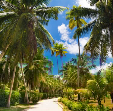 La Digue Island walkway