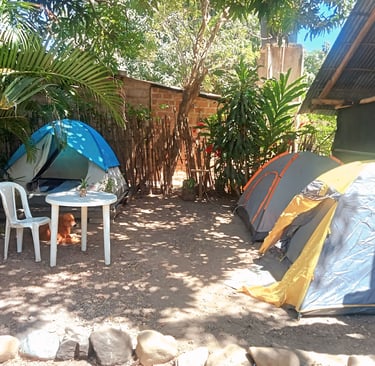 Grupo de tiendas en la zona de camping.