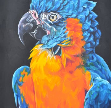 a painting of a blue throated macaw in profile
