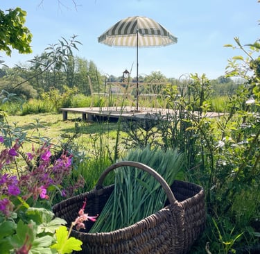 garden with basket, countryside, normandy, French cottage, umbrella