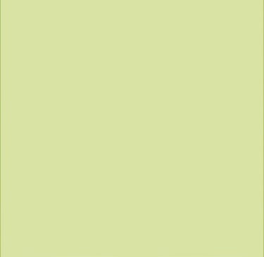 bird photography tour gambia alternative habitats