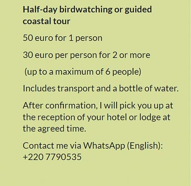 Flyer half-day birdwatching or guided coastal tour in Gambia. Price €50 for 1 person or €30 per pers