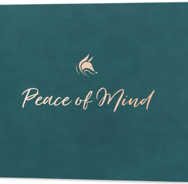 Clever Fox Savings & Emergency Planner – Track your savings milestones and stay motivated