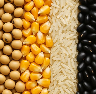 Grãos de milho, soja, feijão e arroz dispostos lado a lado