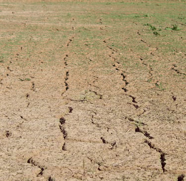 Terra seca representando o impacto das mudanças climáticas na produção agrícola