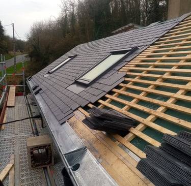 Couverture ardoises et Velux