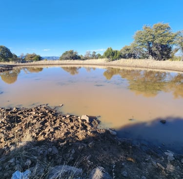 A muddy livestock pond in New Mexico on a sunny day on the Grand Enchantment Trail.