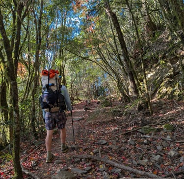A backpacker with hiking poles walks along a rocky forest trail covered in autumn leaves.
