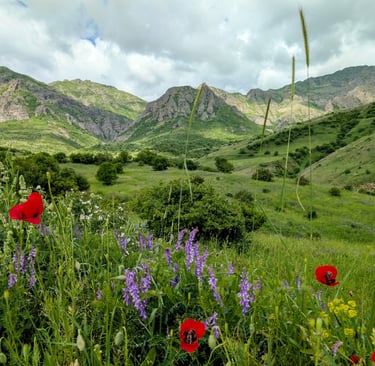 armenia, wildflowers, hiking