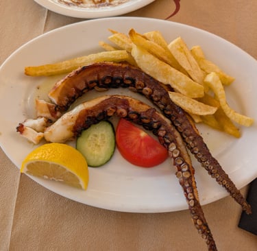 sun dried octopus with french fry's and salad from The Octopus Restaurant in Mithymna, Greece