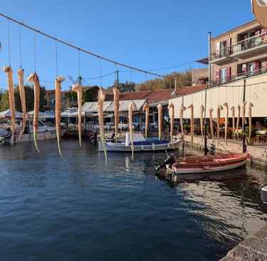 octopus tentacles drying in the sun at The Octopus Restaurant in Mithymna, Greece
