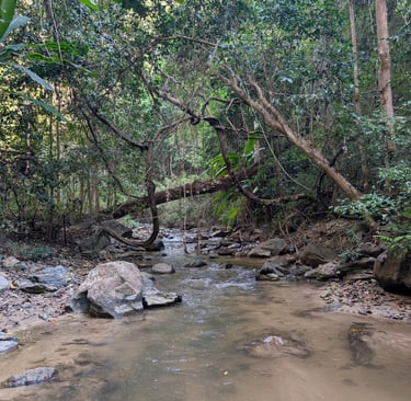 a jungle river in Huai Nam Dang National Park, Thailand