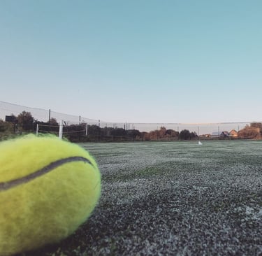 Meda house sodybos nuoma 70