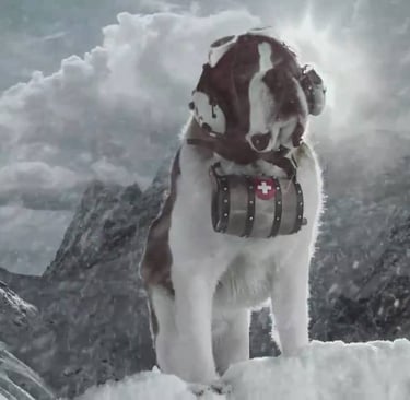 Barry – The Legendary Swiss Rescue Dog