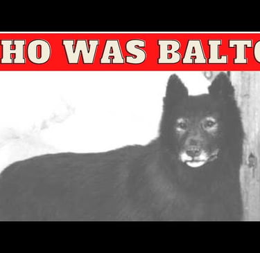 Balto the sled dog