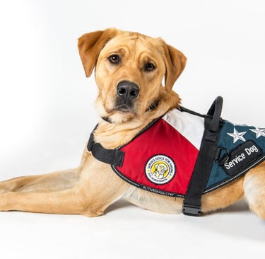 Service Dog