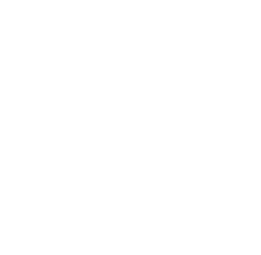 A white icon of two dollar bills