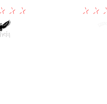 vidéaste photographe orléans