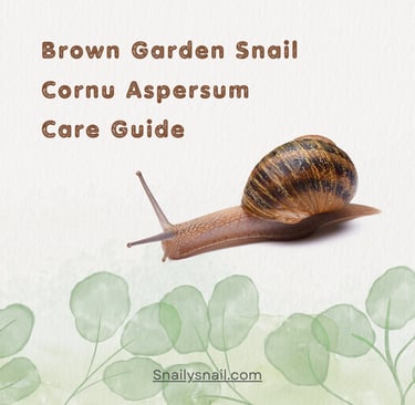 Garden snail pet care guide book hand book how to care snail