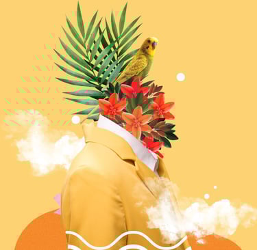 creative composition