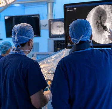PCNL access Course Coloplast TFL drive