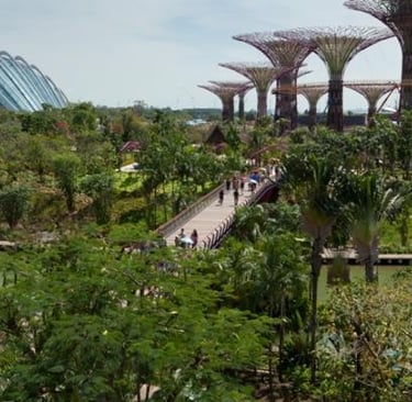 "Green City" Project in Singapore