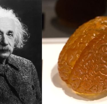 albert einstein