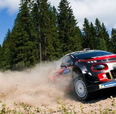 Secto rally